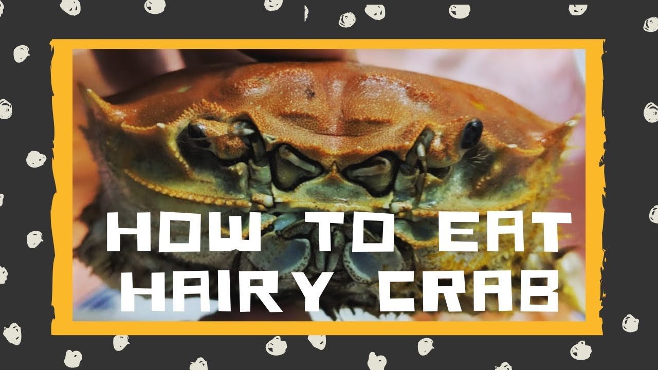 How To Eat Mitten Crab