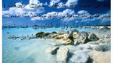 سورة ءال عمران الايات 155 الى 163