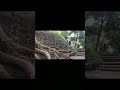 ＃shorts 山の神社と秋の海岸1