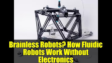 Brainless Robots? How Fluidic Robots Work Without Electronics | Future of Robotics
