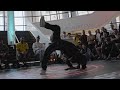 Stefani &amp; Solid vs India &amp; Vanessa / BGIRL FINAL / World Breaking Classic 2022