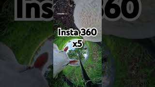 insta 360 x4 hungry chap #reelsinstagram #djiosmoactio #lake #drone #travel #lifeisbutadream #reels