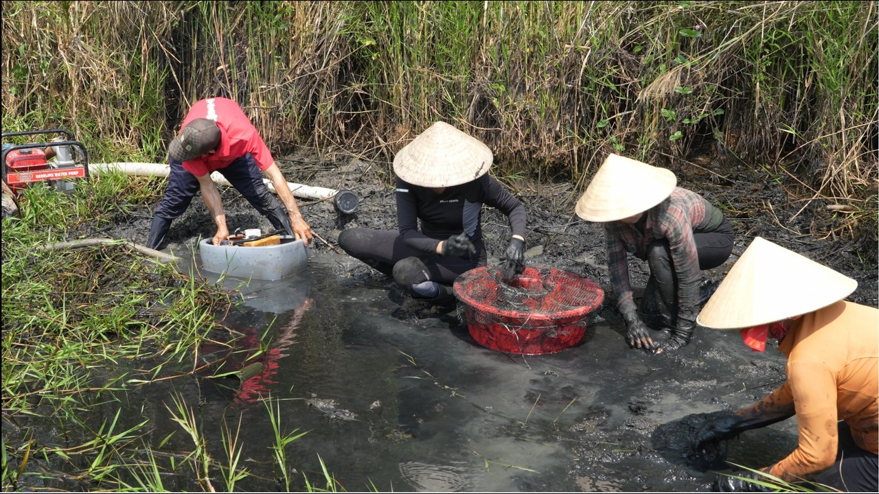 1827 / Phát hiện cái ao giữa khu đất hoang rất nhiều cá