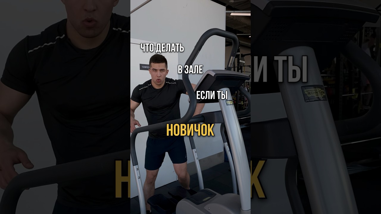 Что делать в зале НОВИЧКУ?