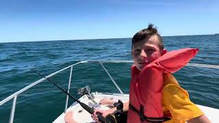 Vote For Colton For Ranger Click The Link Httpsjr-Ranger.org2025Colton-3C59