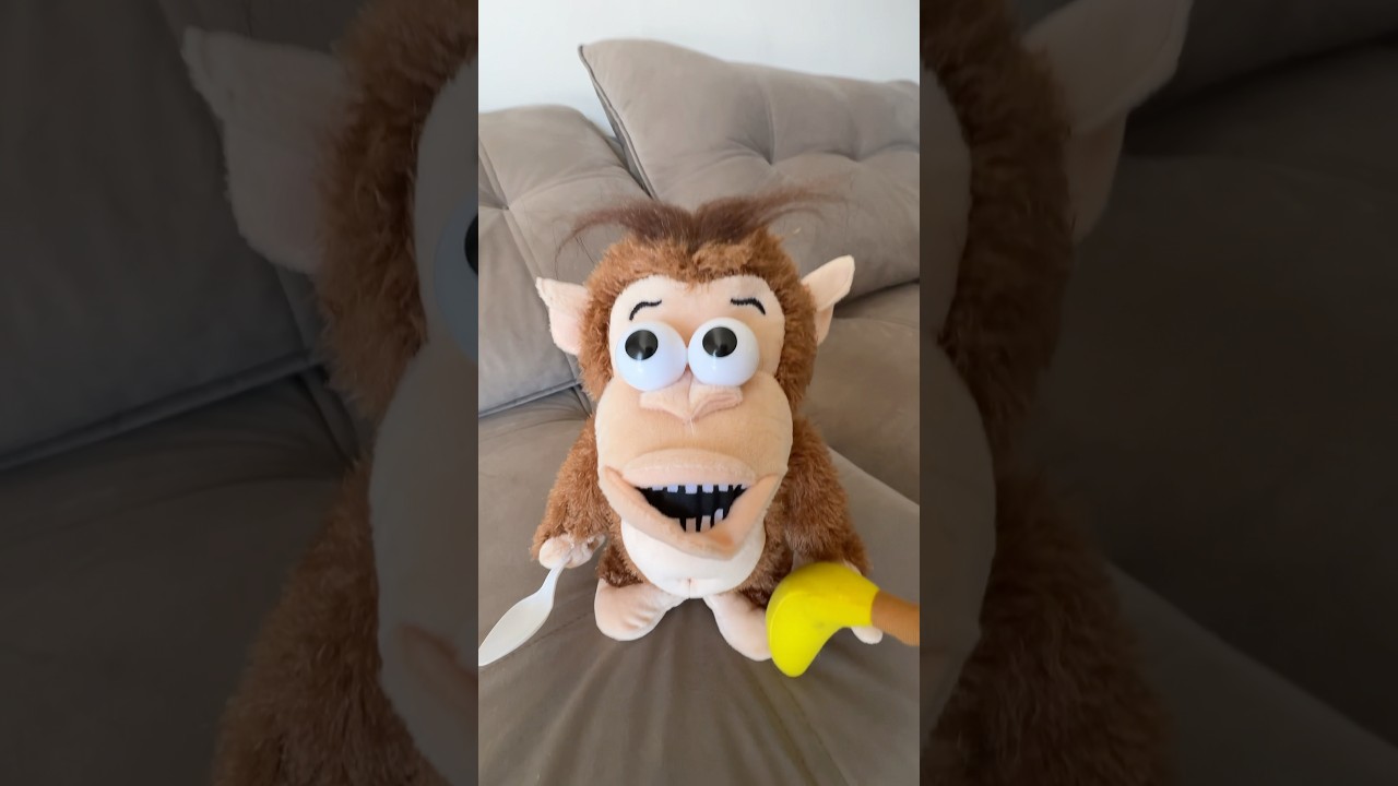 A MINHA BEBÊ REBORN🐵