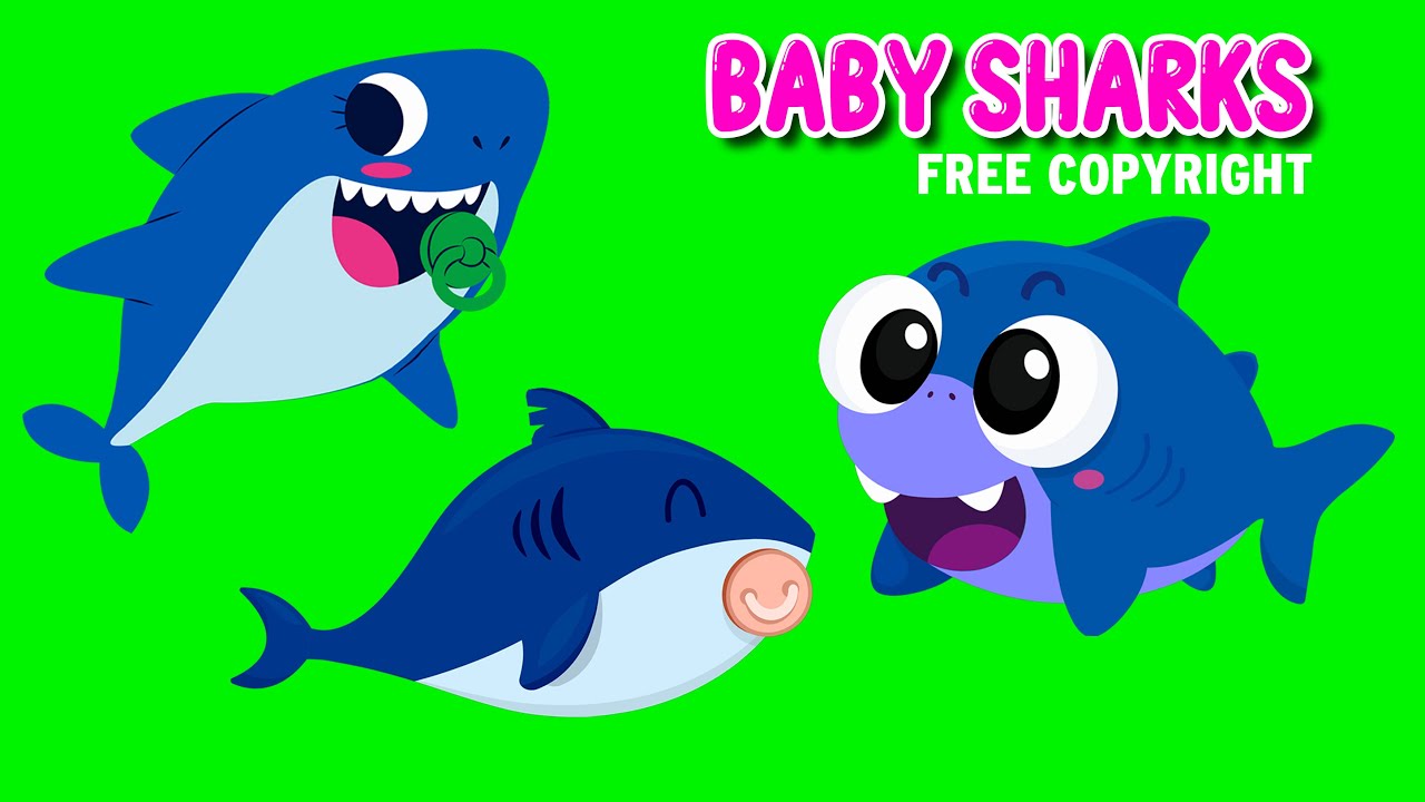 Cute Baby Shark Swim Green Screen - FREE COPYRIGHT - Animation Green Screen - AGS