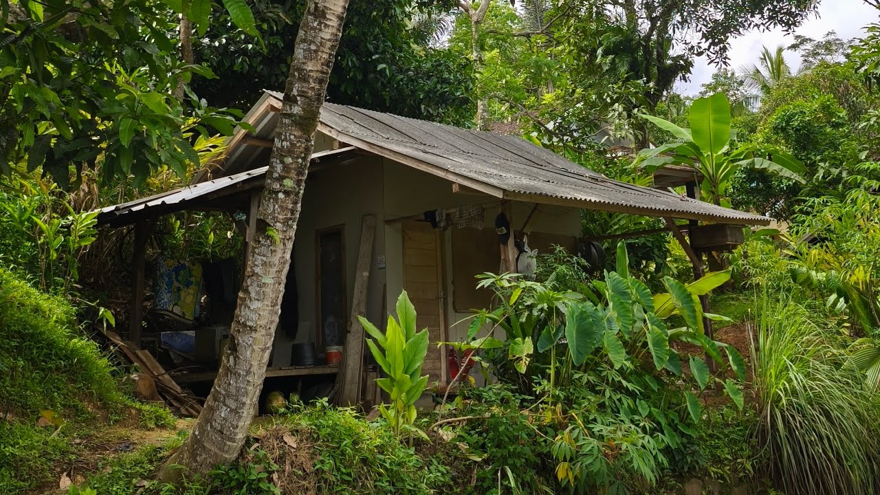 Berkunjung Ke Tetangga Serasa Petualangan ‼️ Jarak antar Rumah Sungguh Jauh 