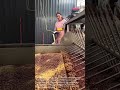 Inside the Factory: Industrial Grain Mixing in Action