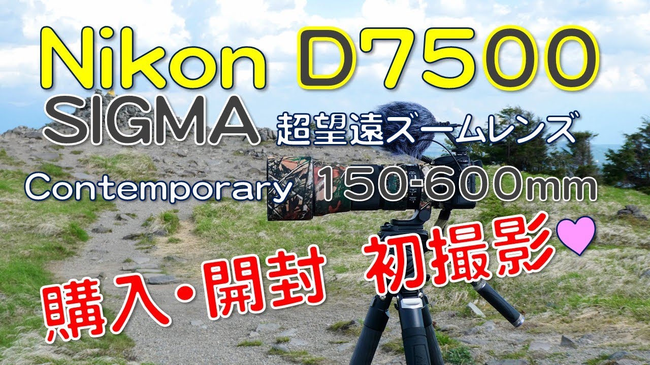開封】Nikon P1000ごめんなさい。Nikon D7500 ＆ SIGMA Contemporary 
