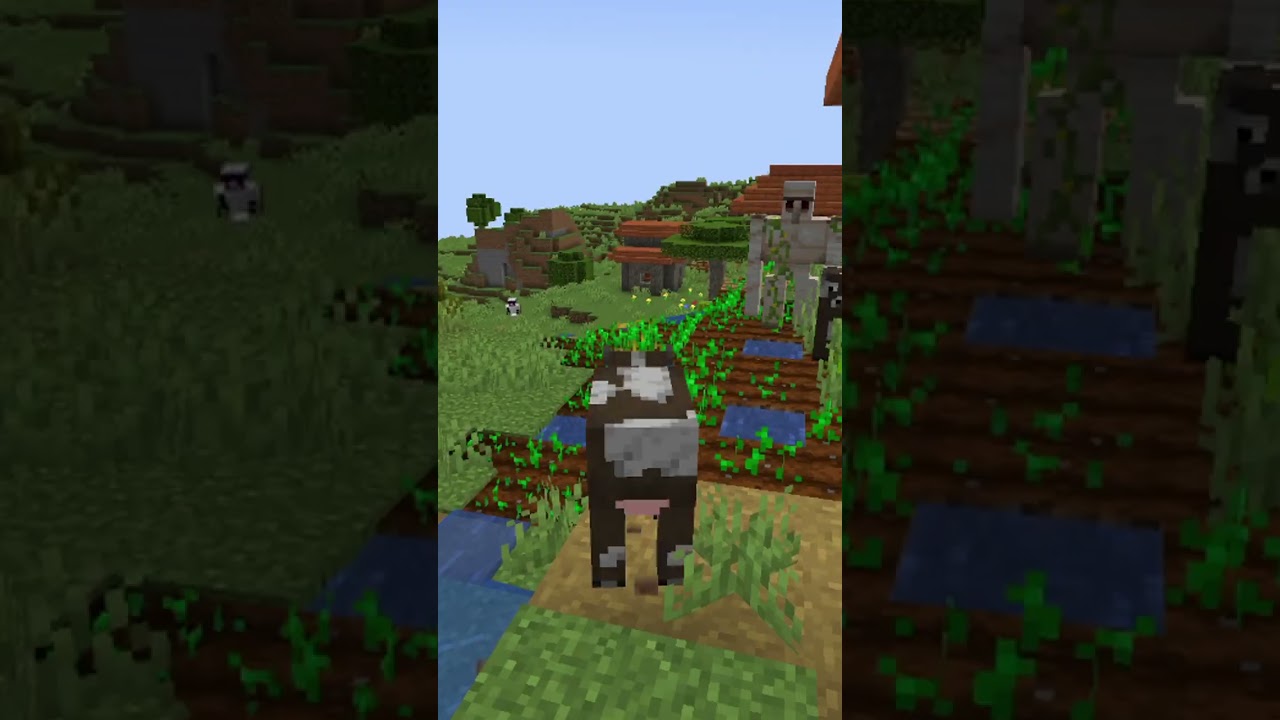 Minecraft, But I Trolled A Random Player On My Minecraft Server    