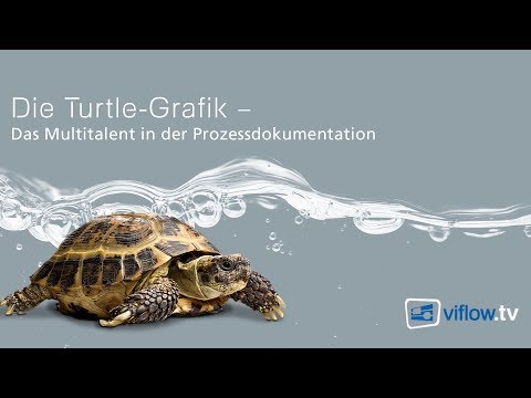 Video: Turtle FAQs: Welche Art Von Turtle Habe Ich & Mehr