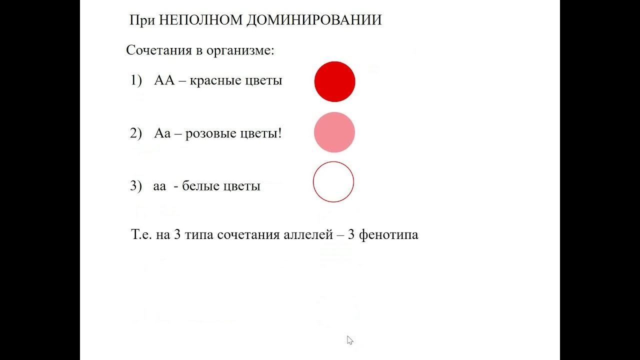 Задачи на неполное доминирование 9 класс. Задачи на неполное доминирование с решением. задачи по генетике неполное доминирование. задача на неполное доминирование с решением 10 класс. неполное доминирование егэ.