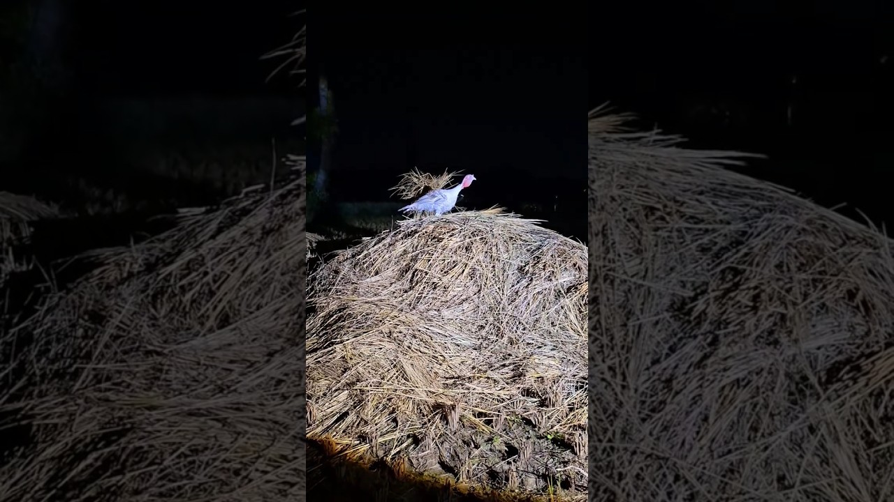 wow got a really big one 