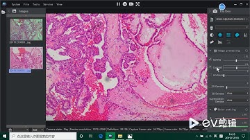 Bright field imaging Mshot image analysis sytem V1 1
