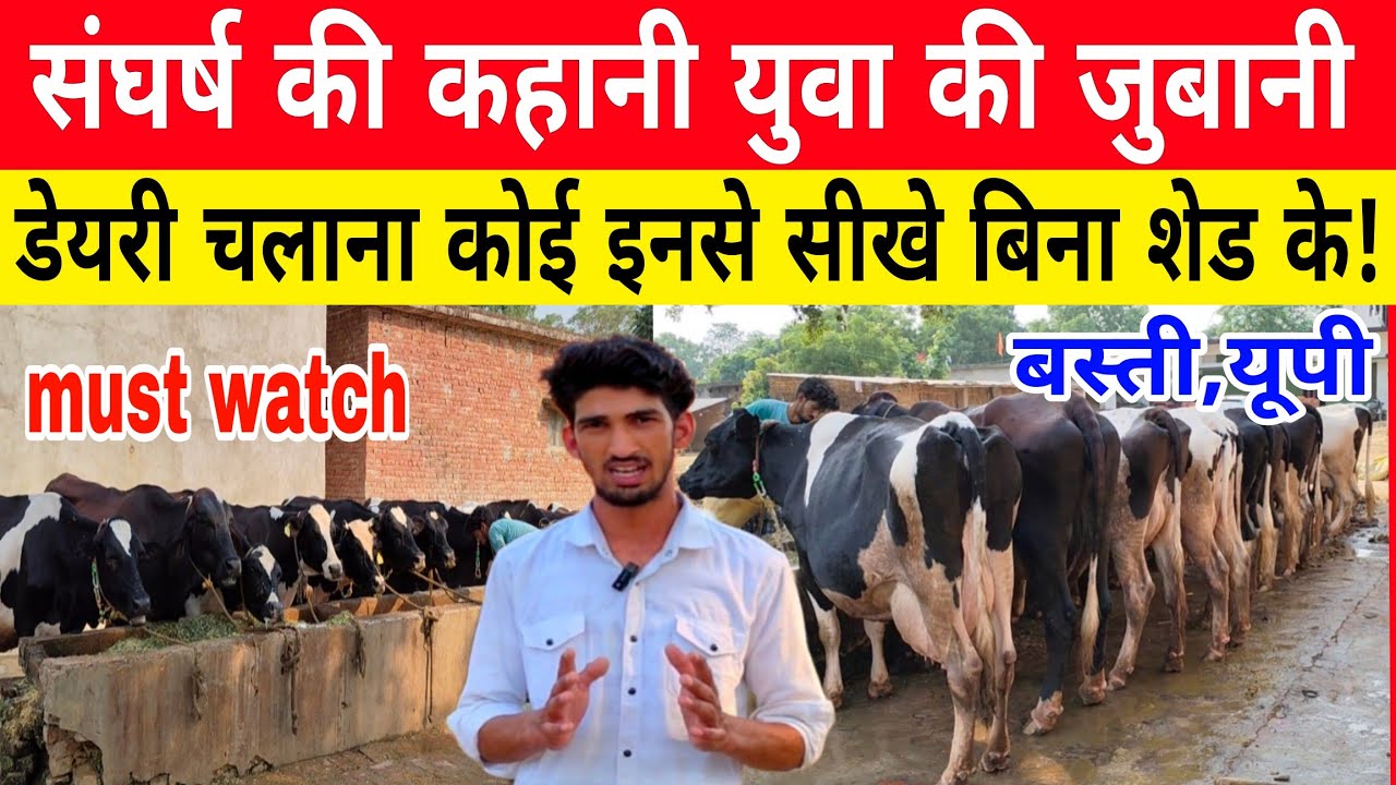 कम बजट में डेयरी चलाने का तरीका,डेयरी से किया बड़े बड़े काम#farming/dairy farm basti up/dairy farm |