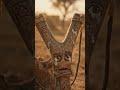 Before Video Games, There Was This Slingshot… | Indian Nostalgia