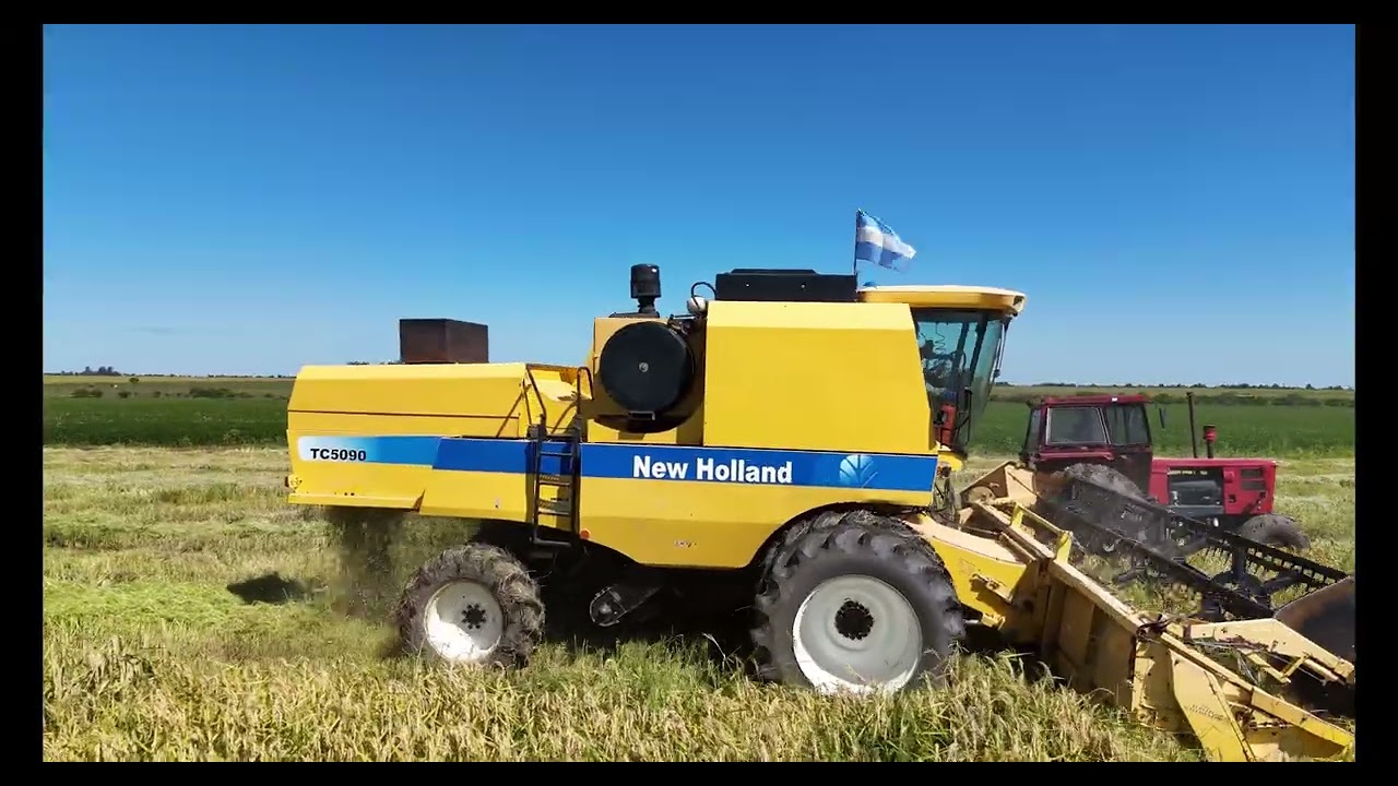 Cosecha de arroz, vista desde el aire.