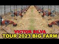 Tour 2023 victor silva joe brown farm tennessee