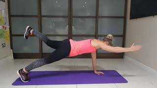 Pointer/diagonal reach in hand plank