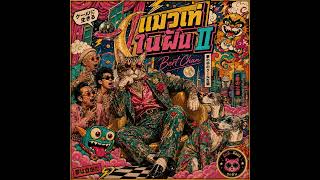 แมวเท่ในฝัน II