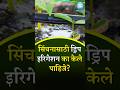 सिंचनासाठी ड्रिप इरिगेशन का केले पाहिजे? #drip #facts #farmer #education #dripsystem #shetkari #edit