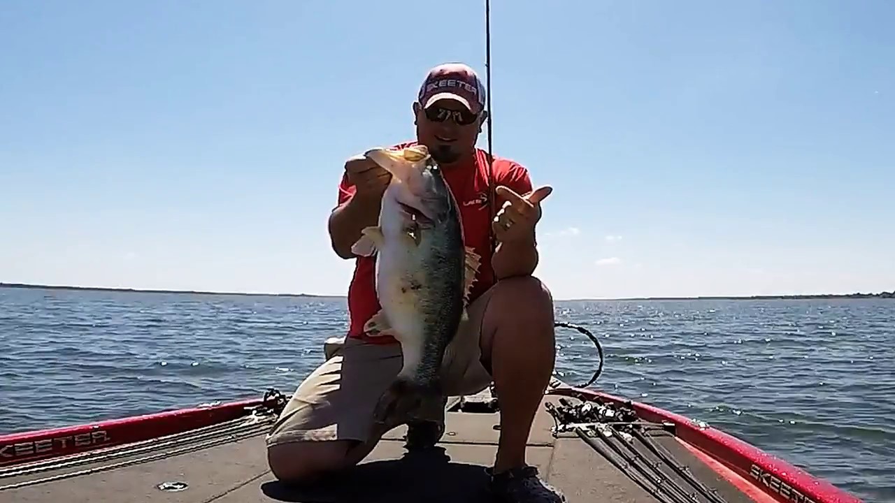 Bass Fishing Lake Fork 2017 YouTube