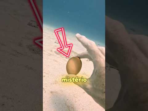 Quebrando um ovo embaixo d'água!       #experiencia #ciencia  #incrível