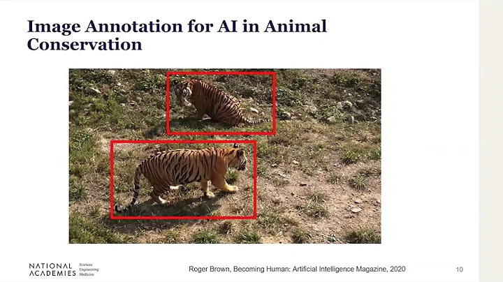 AI and Biodiversity Nancy Connell USA