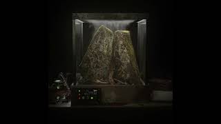 36 Days Of Type - Moss