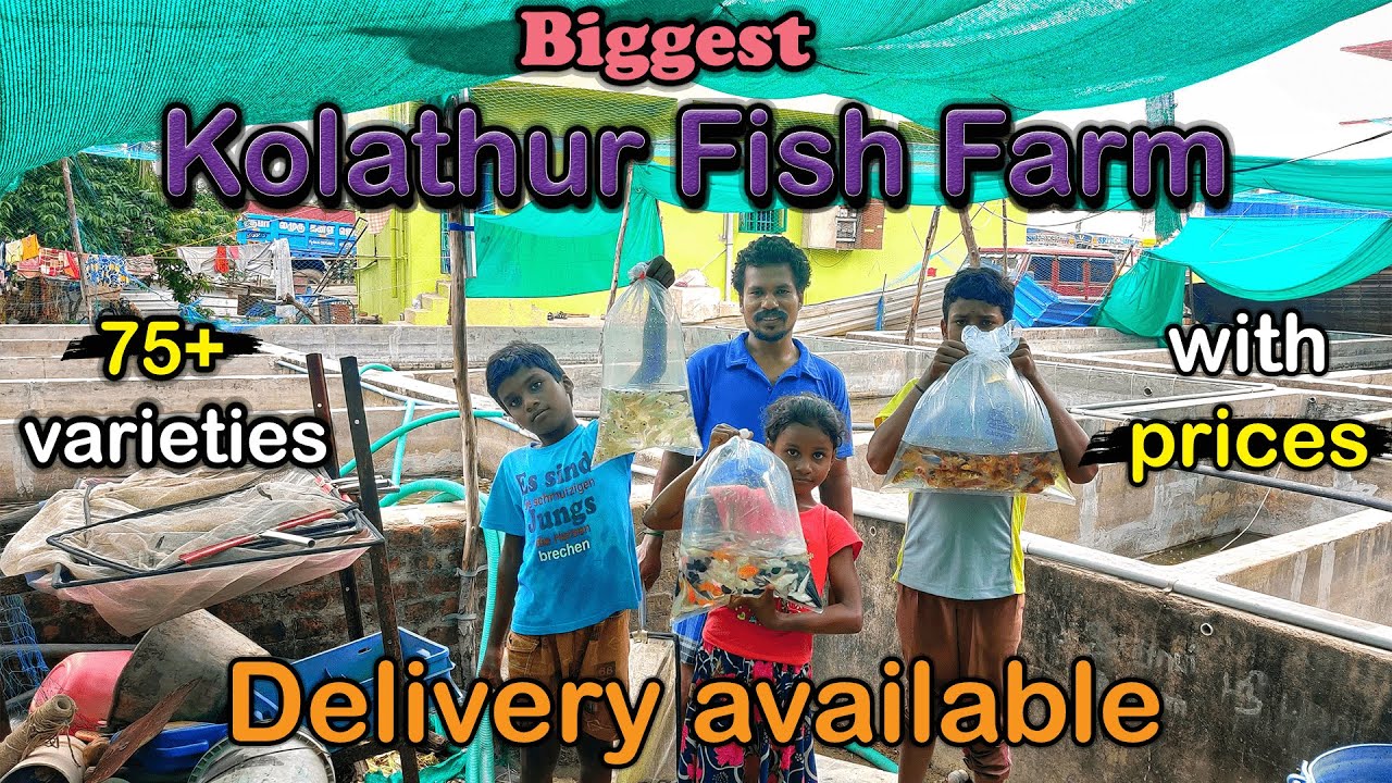 ரூ5 முதல் Fish varieties|biggest aqua farm|75+varieties|with price|farm visit|Xploring💫