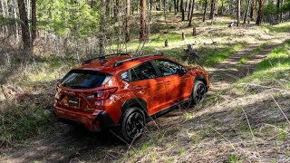 Nuova Subaru Crosstrek - Campioni Auto