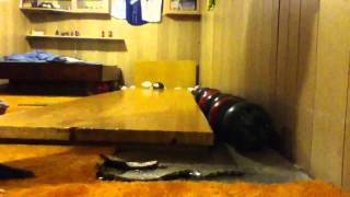 Basement bowling 4