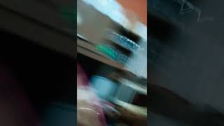 POV: VOCE TEM MEDO DE BARATA VOADORA