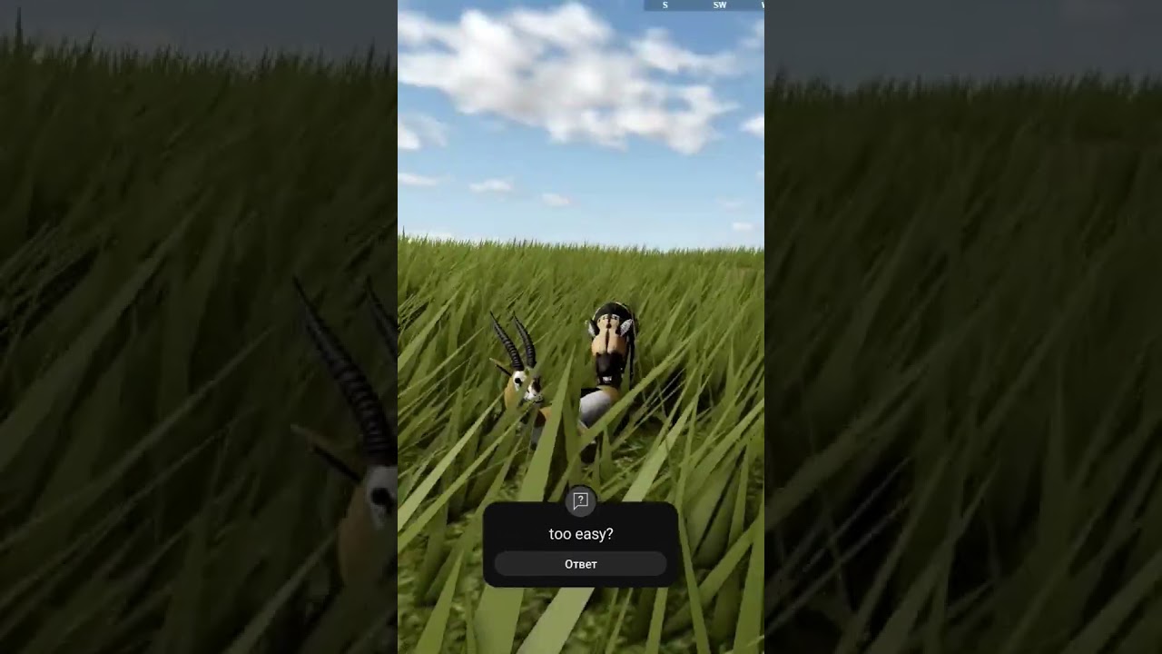 газель томсона 