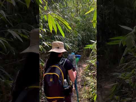 Tร GIANG TREKKING/HIKING 2N1D - Good Memories!