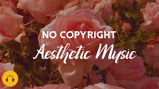 NO COPYRIGHT- AESTHETIC MUSIC BACKGROUND MUSIC FOR YOUTUBE VIDEO