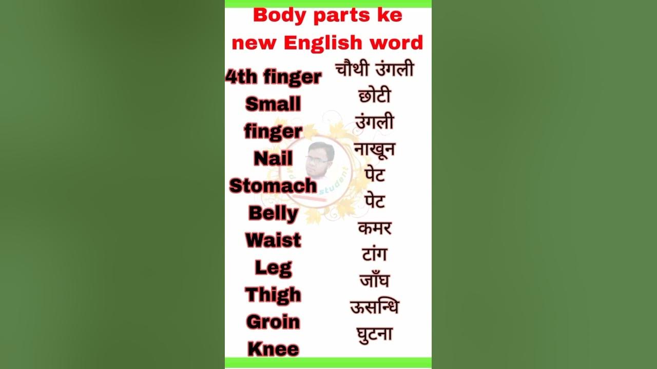 Word Meaning English To Hindi body Parts Ke Words Minning word-meaning-english-to-hindi-body-parts-ke-words-minning