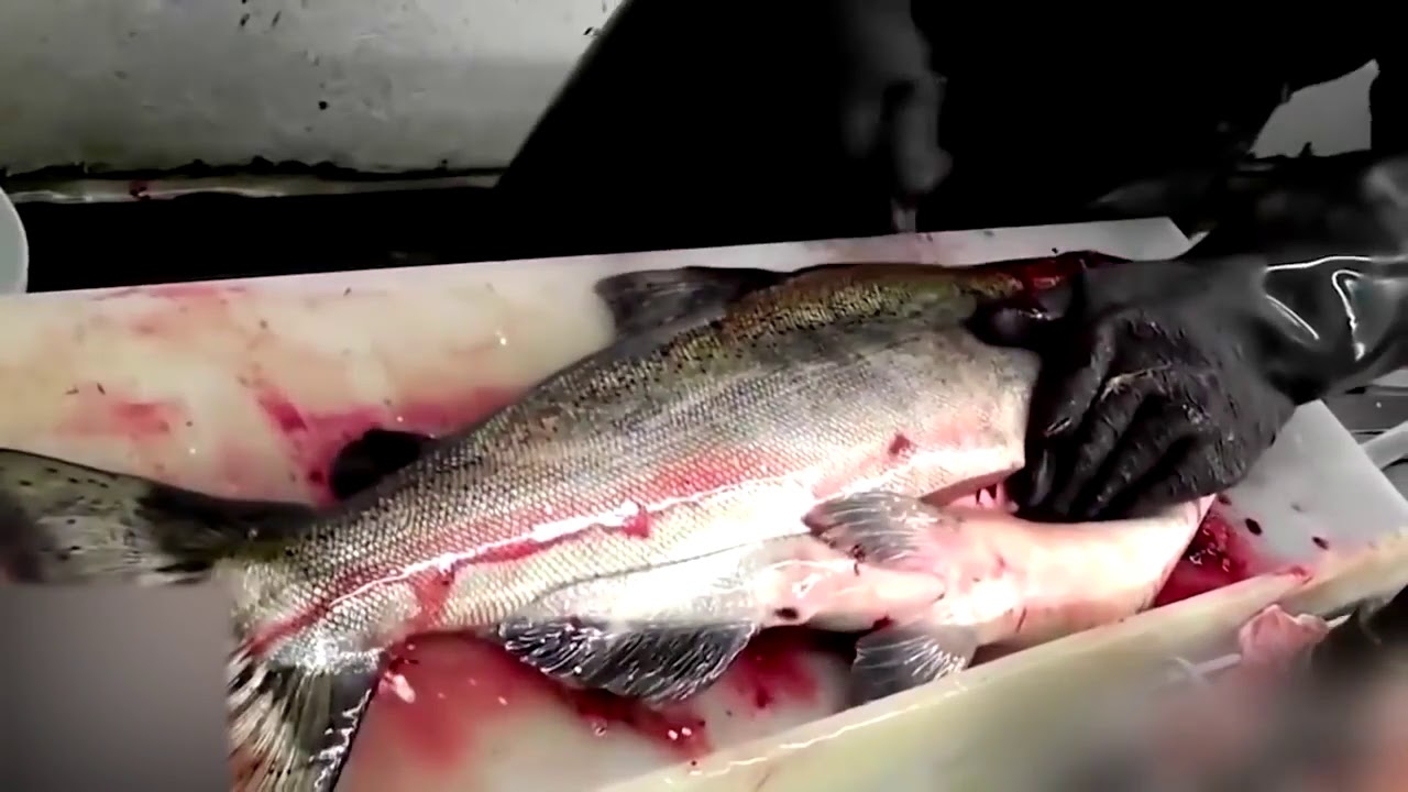 Fast Workers NEW 2017 1080P God Level Compilation Super Skills