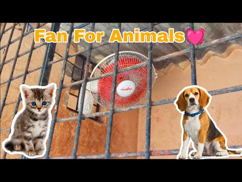 Fan Facility In