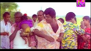 வயிறு வலிக்க சிரிக்கணுமா இந்த காமெடி பாருங்கள் | Tamil Comedy | Senthil | Goundamani | Comedy Scenes