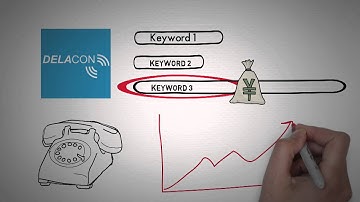 Delacon Call Tracking Explainer