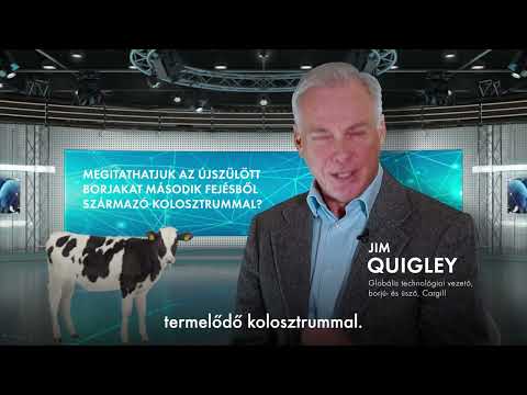 Megitathatjuk az ujszulott borjakat masodik fejesbol szarmazo kolosztrummal?