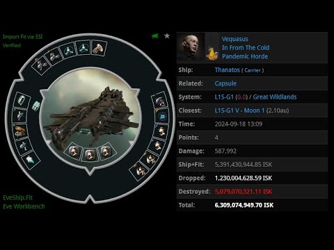 [EVE ONLINE / AMC] 18 SEP 2024 Killed Thanatos in Great Wildlands