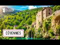 Les Cévennes : un écrin de nature d'exception au cœur du Sud - MG