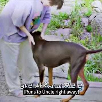 jungkook's dog love jimin💜#bts #jimin # jk #inthesoop2