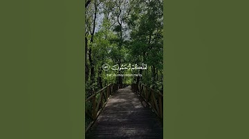 #quran #اكسبلور #المصحف #قرآن #الرحمن #تلاوة_خاشعة