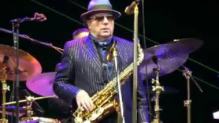 Van Morrison - Did Ye Get Healed? - June 11, 2019 Hamburg