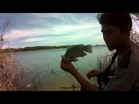 MANCING NILA - ESSEN OPLOSAN...... made in dewe!!!!!
