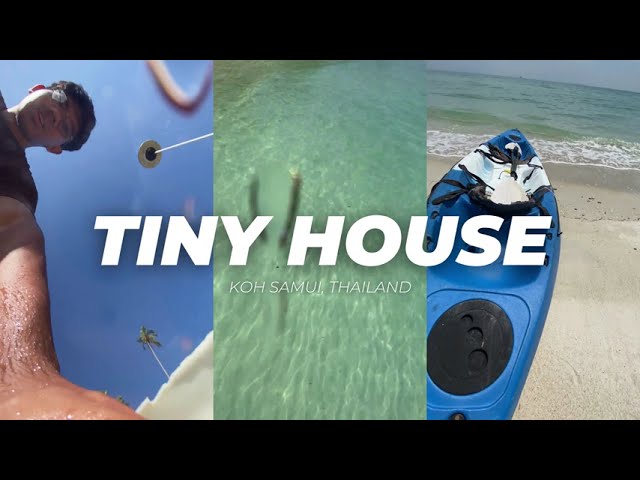 ✨ Tiny Vacation — Sustain · Peace · Wealthy. 🌿